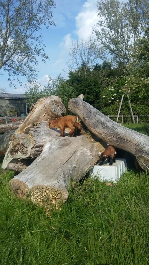 Boerenskuur De Bedstee Groen Assendelft Экстерьер фото